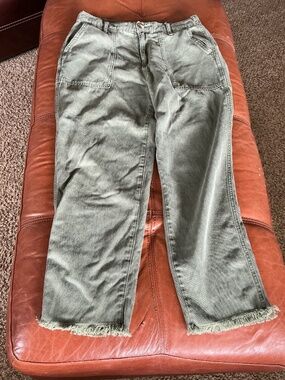 Aerie cargo pants